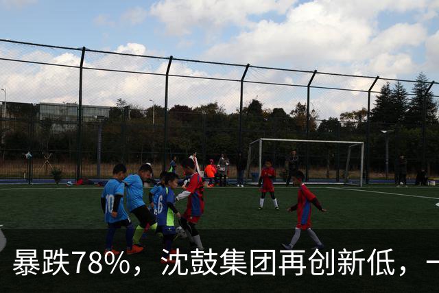 暴跌78%，沈鼓集团再创新低，一个月从82跌到了18！
